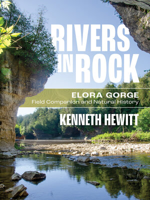 cover image of Rivers in Rock